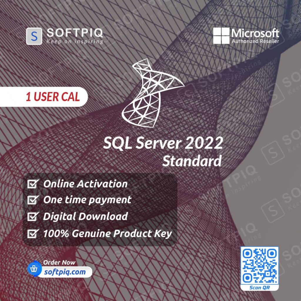 SQL Server 2022 Standard For 1 User CAL