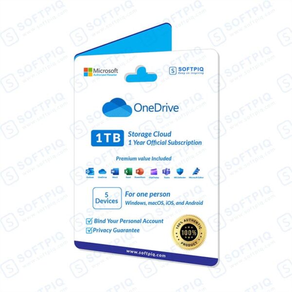 OneDrive 1TB Storage