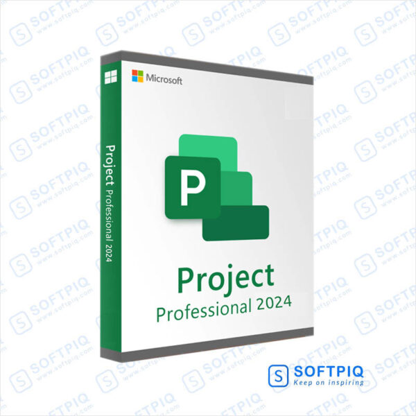 Microsoft Project Professional 2024