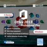 Microsoft office 2013 Professional Plus For 5 Windows
