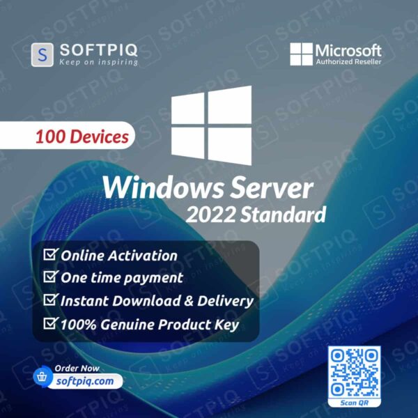 Windows Server 2022 Standard For 100 PC