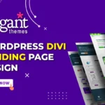 I will build DIVI WordPress Website Landing Page Design by DIVI Builder