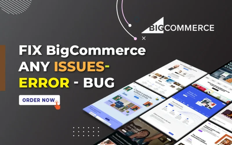 I will Fix BigCommerce Issues, BigCommerce Problems Fix, Fix Errors and Bug